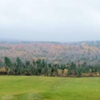 Third Coast Equine Veterinary Services, LLC ico