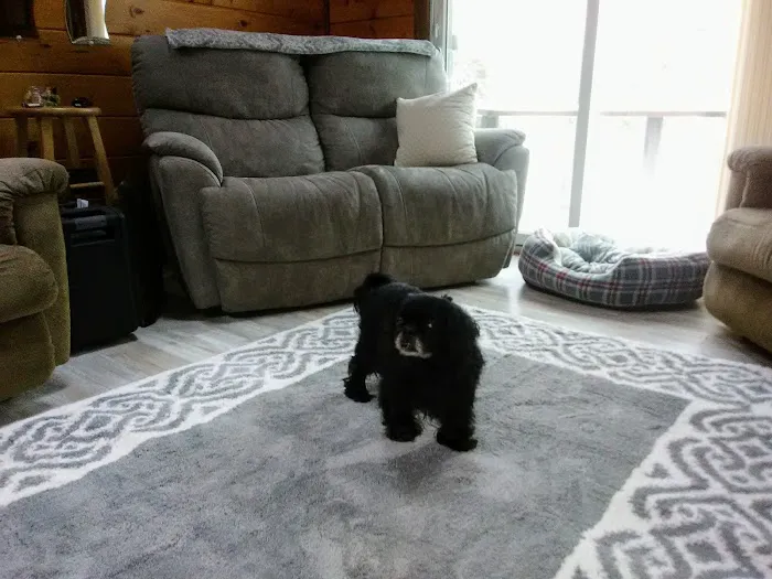 Winslow Animal Hospital 7