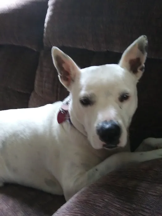 Winslow Animal Hospital 4