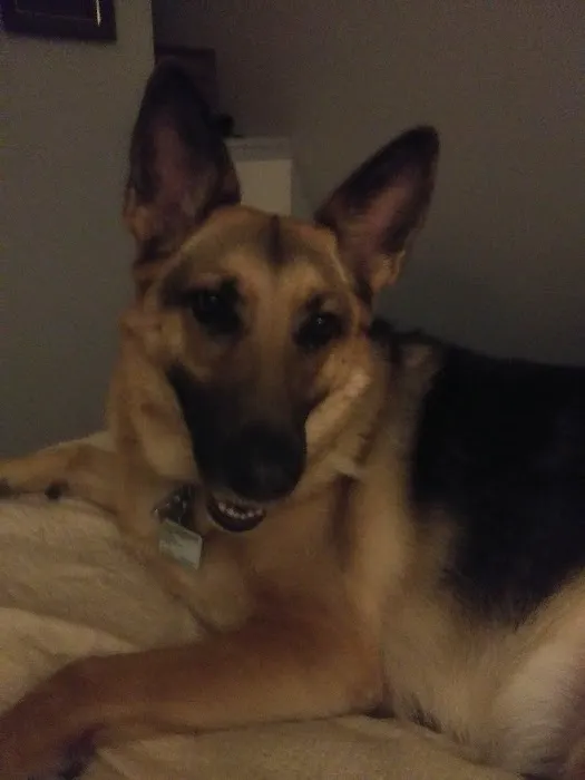 Winslow Animal Hospital 5