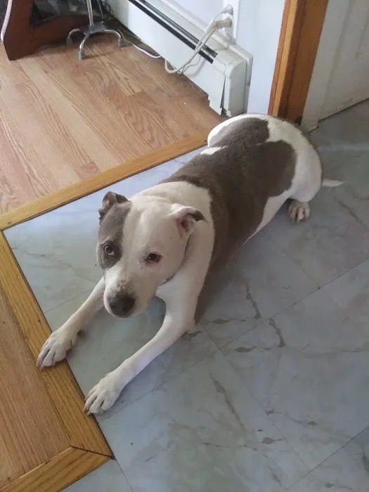 Winslow Animal Hospital 6