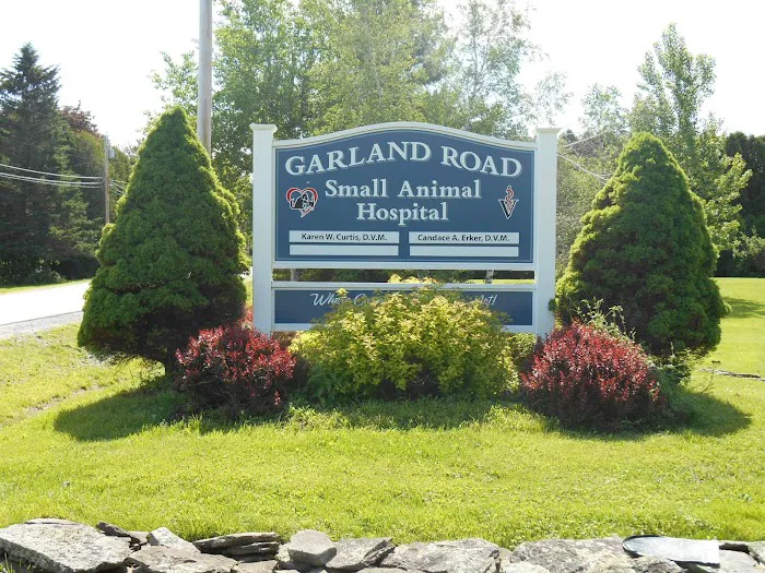 Garland Road Small Animal Hospital 1