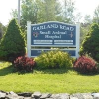Garland Road Small Animal Hospital ico