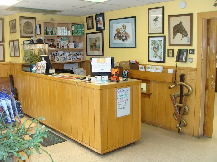 New England Animal Hospital 2