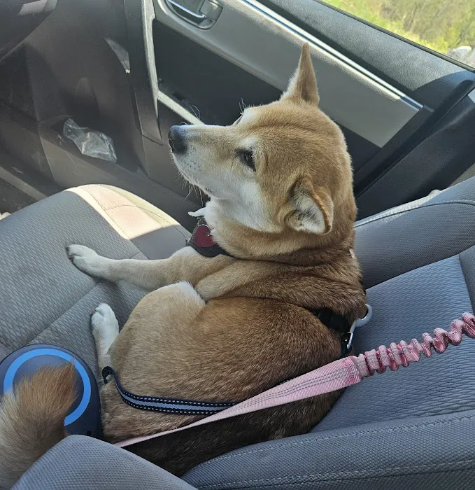 New England Animal Hospital 10