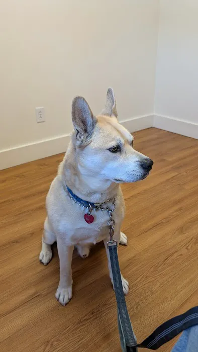 Little River Veterinary Hospital 8
