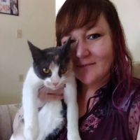 Deer Isle Veterinary Clinic ico