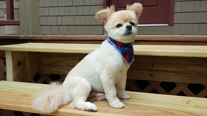 Hometown Veterinary Care 7
