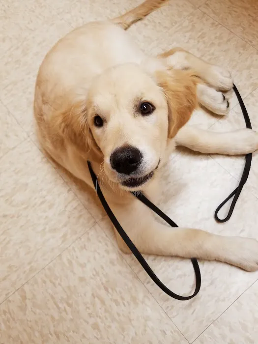 Hometown Veterinary Care 5