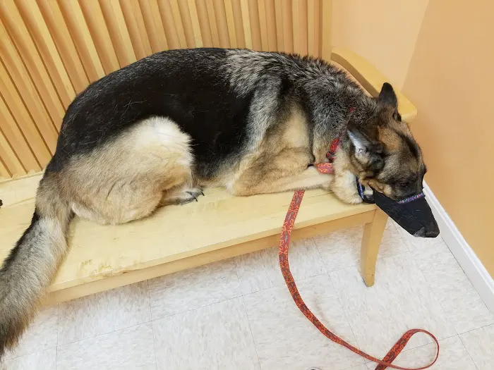 Hometown Veterinary Care 9
