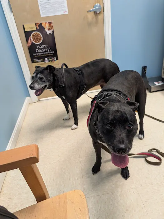 Hometown Veterinary Care 1