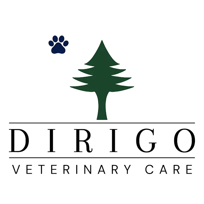Dirigo Veterinary Care 10