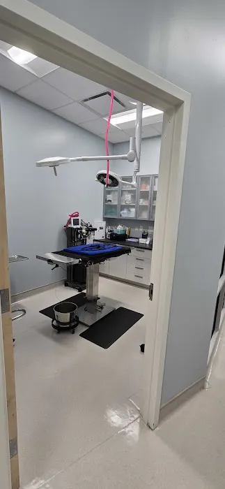 Dirigo Veterinary Care 6