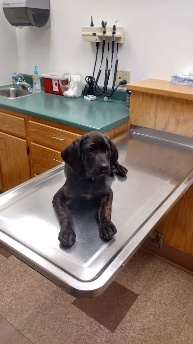 Animal Hospital of Waterville 9