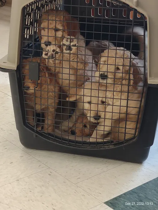 Kennebec Veterinary Services Inc. 8