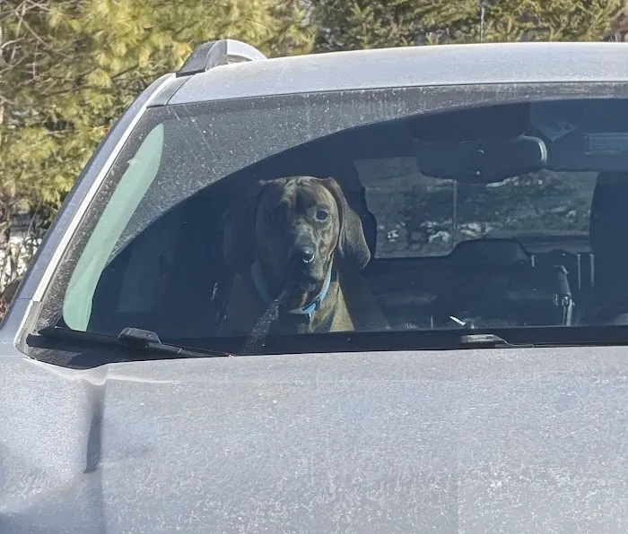 Kennebec Veterinary Services Inc. 4