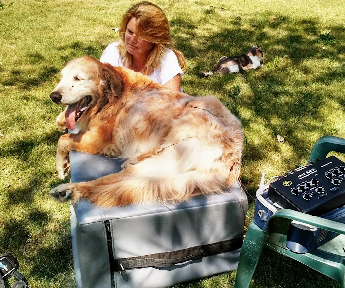 All Creatures Acupuncture Holistic Veterinary Therapies 10