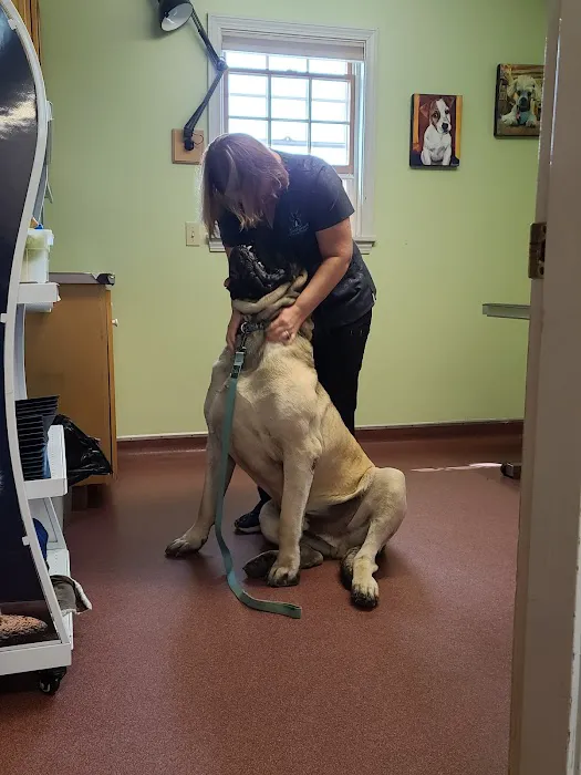 Bucksport Veterinary Hospital 9