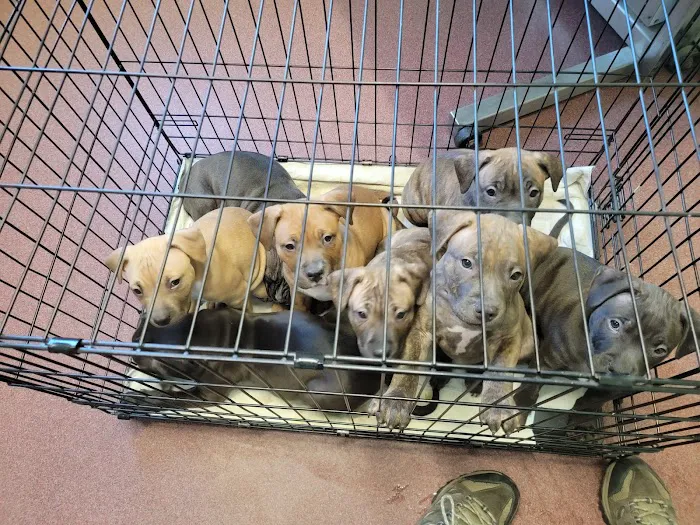 Bucksport Veterinary Hospital 6