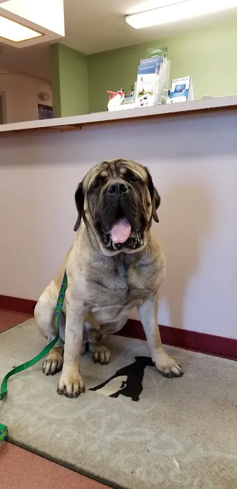 Bucksport Veterinary Hospital 8