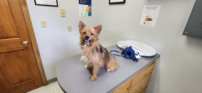 Ridge Runner Veterinary Services 10