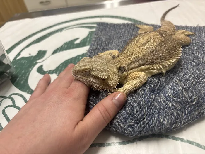 Kindred Spirits Veterinary 2
