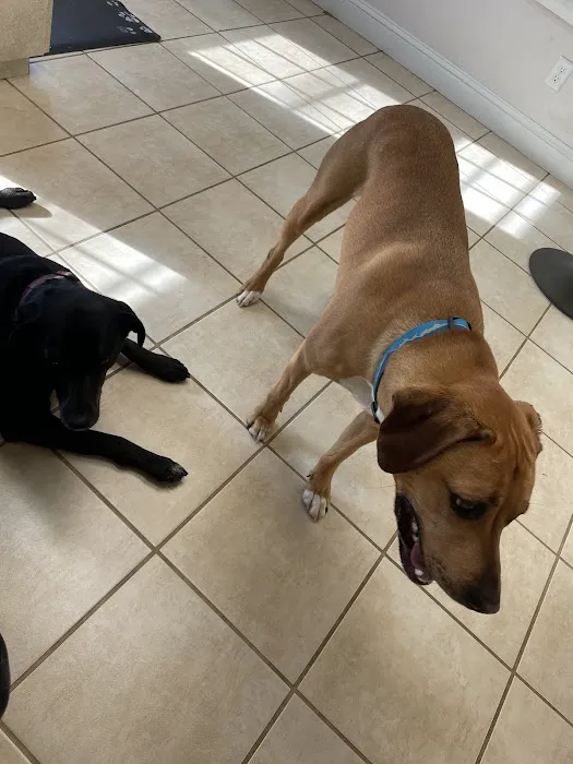 Kindred Spirits Veterinary 8