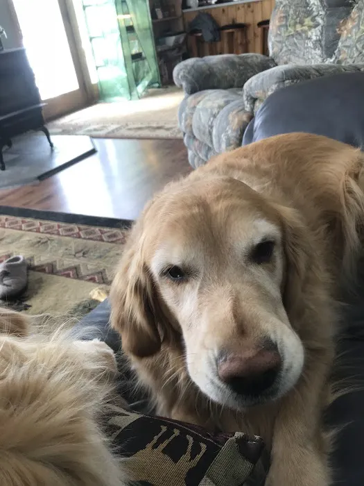 Kindred Spirits Veterinary 10