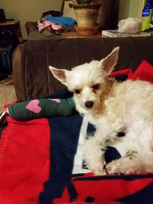 Lucerne Veterinary Hospital: Monk Stephanie G DVM 1