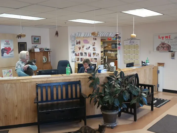 Hampden Veterinary Clinic 9