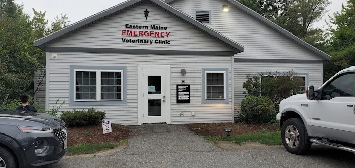 Eastern Maine Emergency Veterinary 7