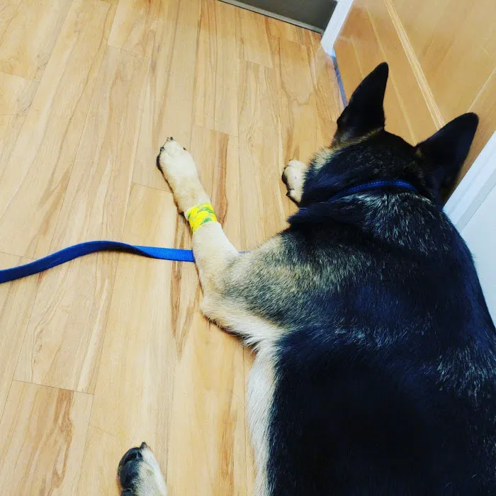Brewer Veterinary Clinic 7