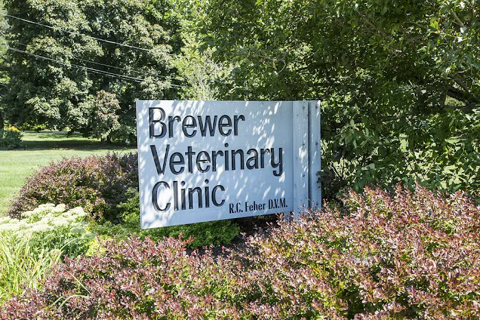 Brewer Veterinary Clinic 10