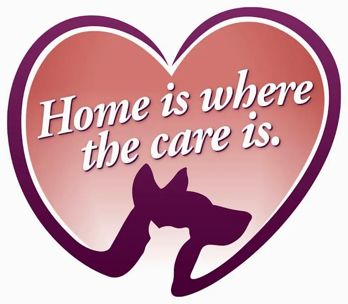 Tori Weston Housecall Veterinarian 1