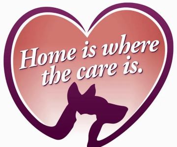 Tori Weston Housecall Veterinarian