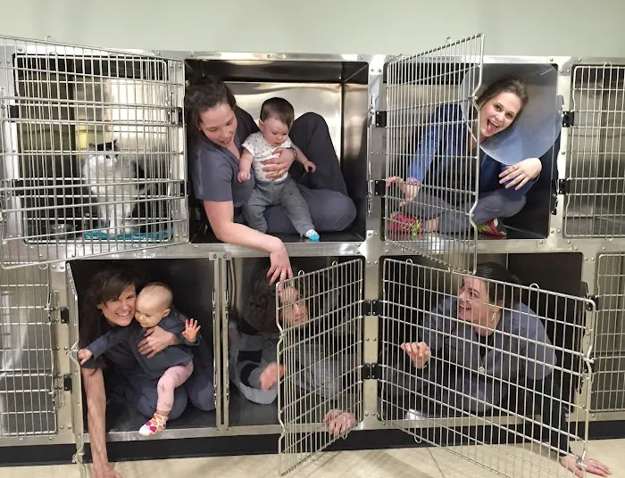 Ellsworth Family Veterinary Clinic 2