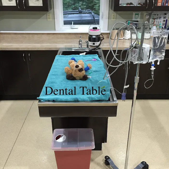 Ellsworth Family Veterinary Clinic 10