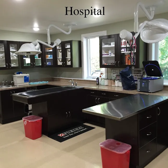 Ellsworth Family Veterinary Clinic 4