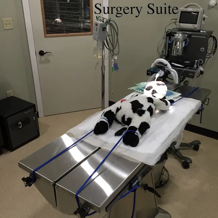 Ellsworth Family Veterinary Clinic 9