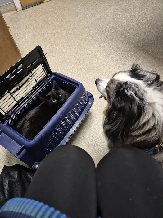 Penobscot Veterinary Services 8