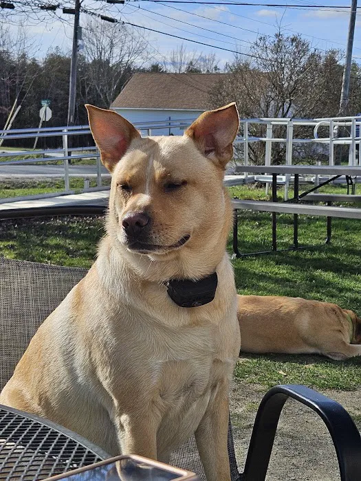 Penobscot Veterinary Services 4