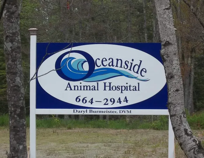 Oceanside Animal Hospital 2
