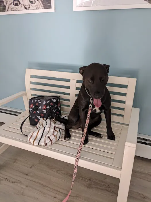 Oceanside Animal Hospital 5