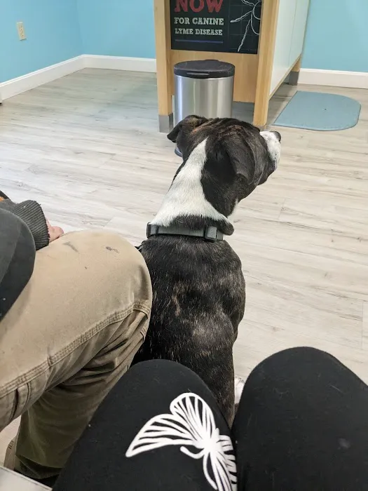 Oceanside Animal Hospital 6