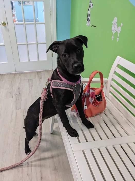 Oceanside Animal Hospital 8