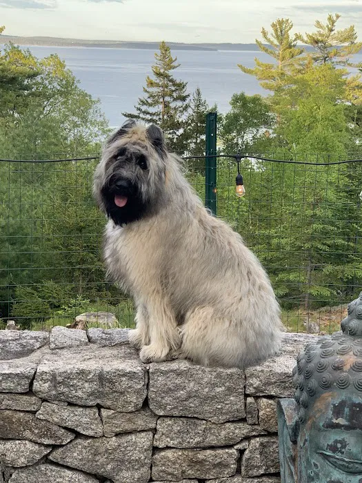Acadia Veterinary Hospital 5