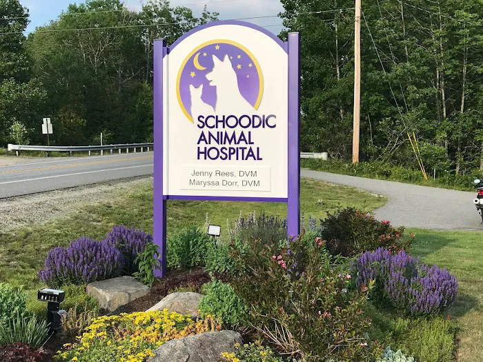 Schoodic Animal Hospital 7