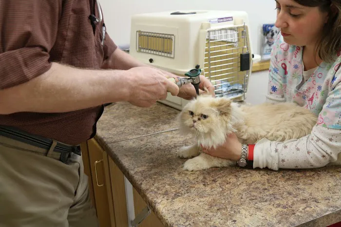 Broadway Veterinary Clinic 2