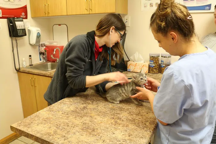 Broadway Veterinary Clinic 1