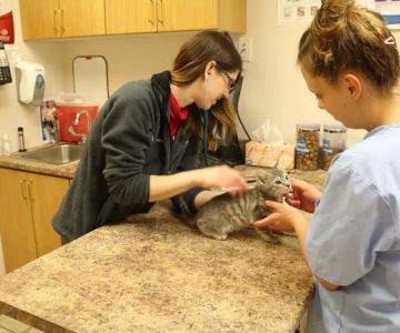 Broadway Veterinary Clinic